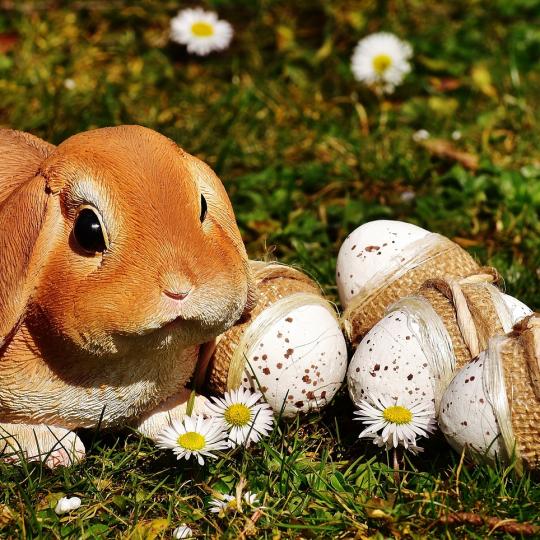 Velikonoční hledání zajíčka a dílničky 1
